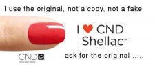 shellac spring 2013